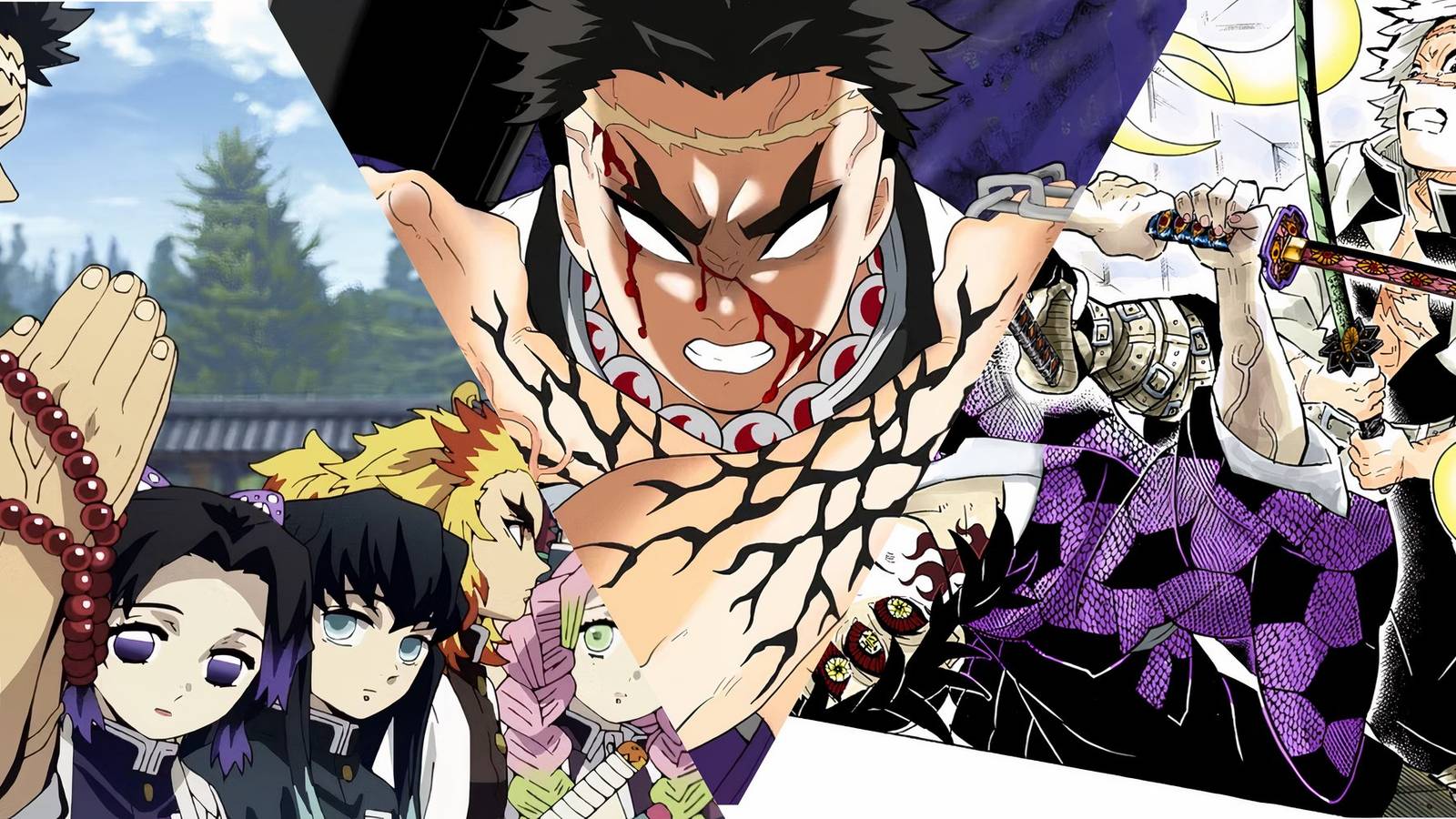 MixCollage-14-May-2024-10-24-AM-9349