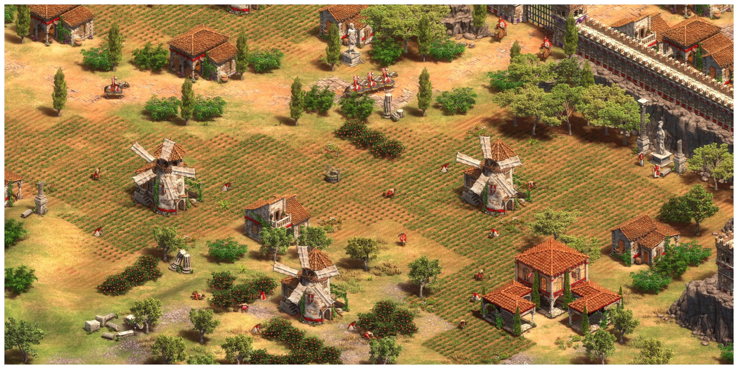 Age Of Empires 2 - A Large Area Of Farmland