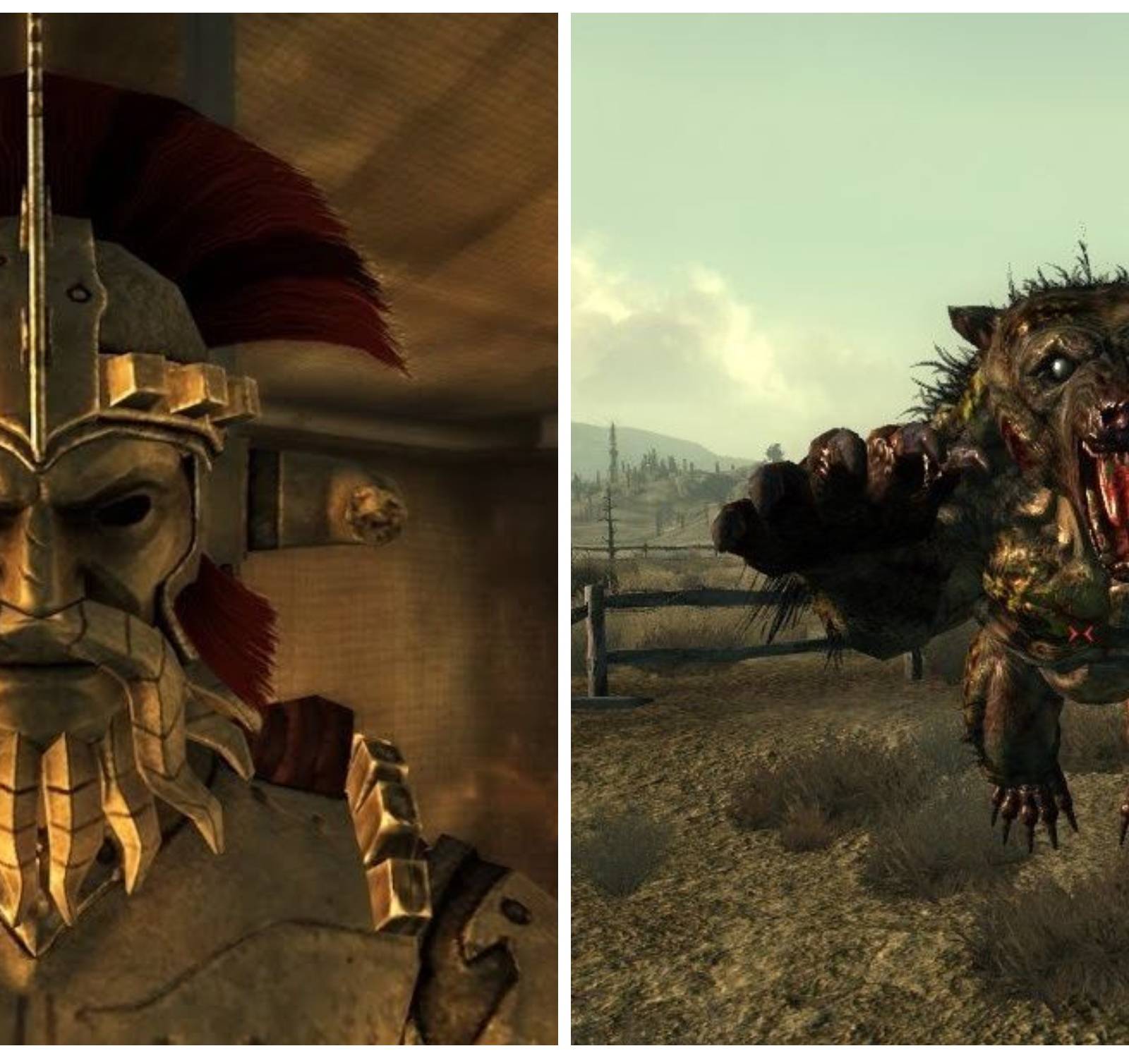 Surat ostidagi mushuk