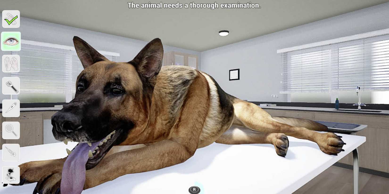 My Life Pet Vet Similator