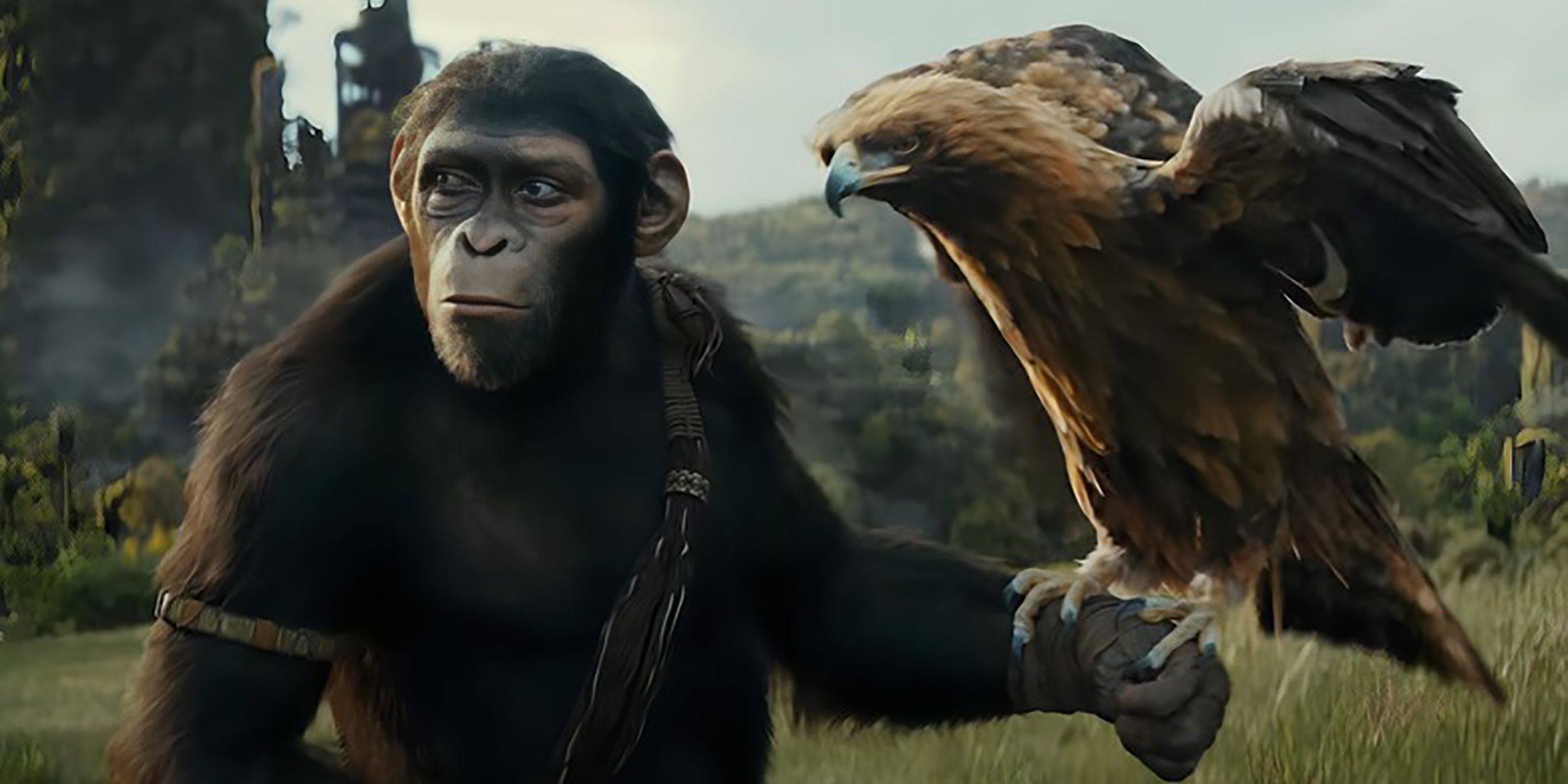 Most Heroic Characters In Planet Of The Apes