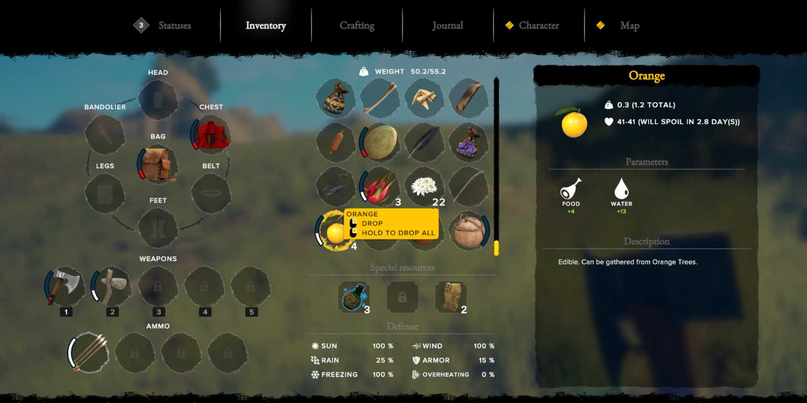 orange in survival fountain of youth-1