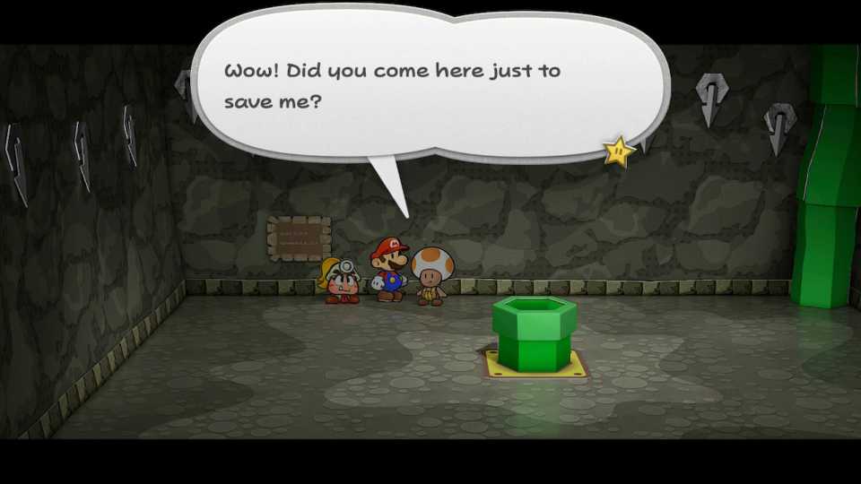 Paper Mario: The Thousand-Year Door - Pit of 100 Trials Pine T. Sr.