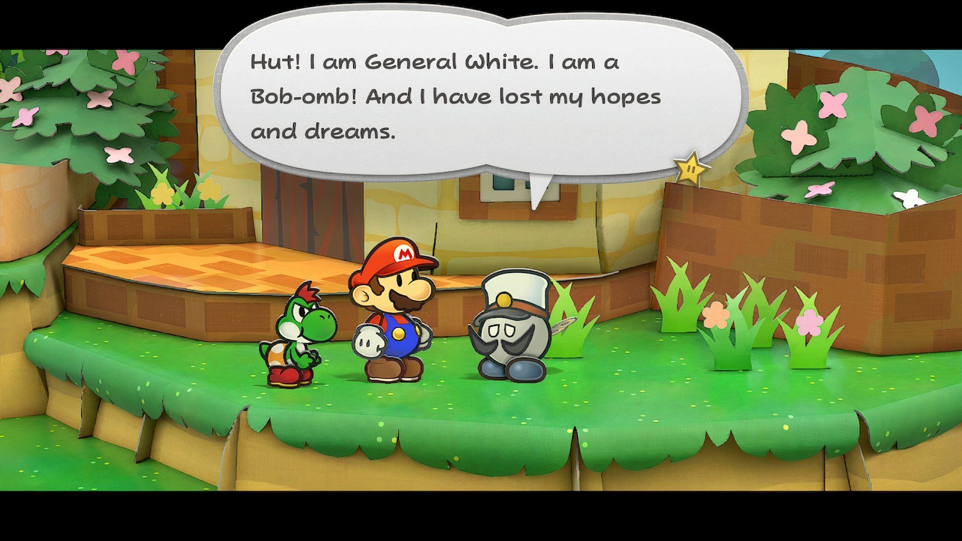 Paper Mario: The Thousand-Year Door - General White in Petalburg, Early Game