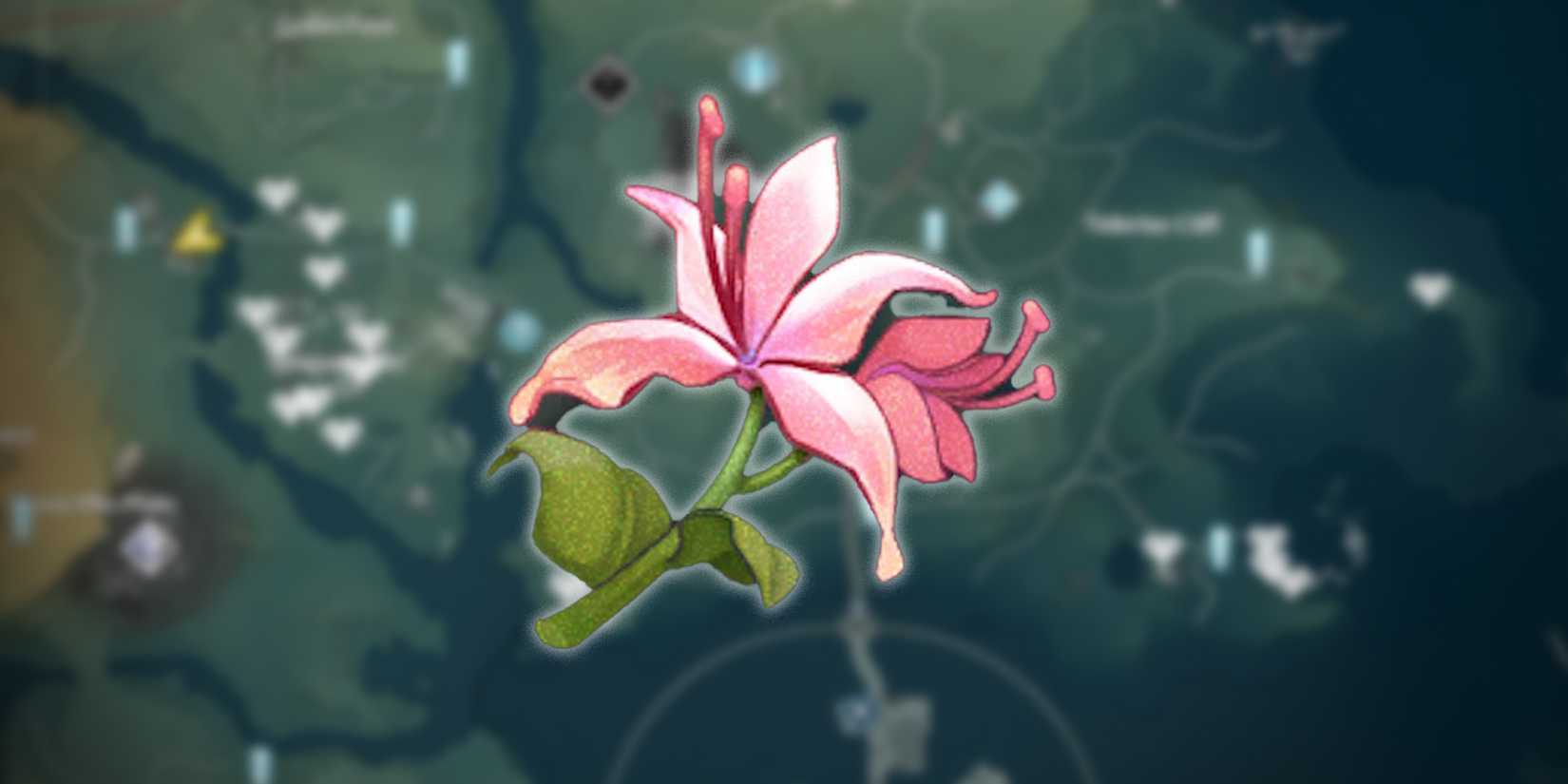 pecok flower location in wuthering waves-1