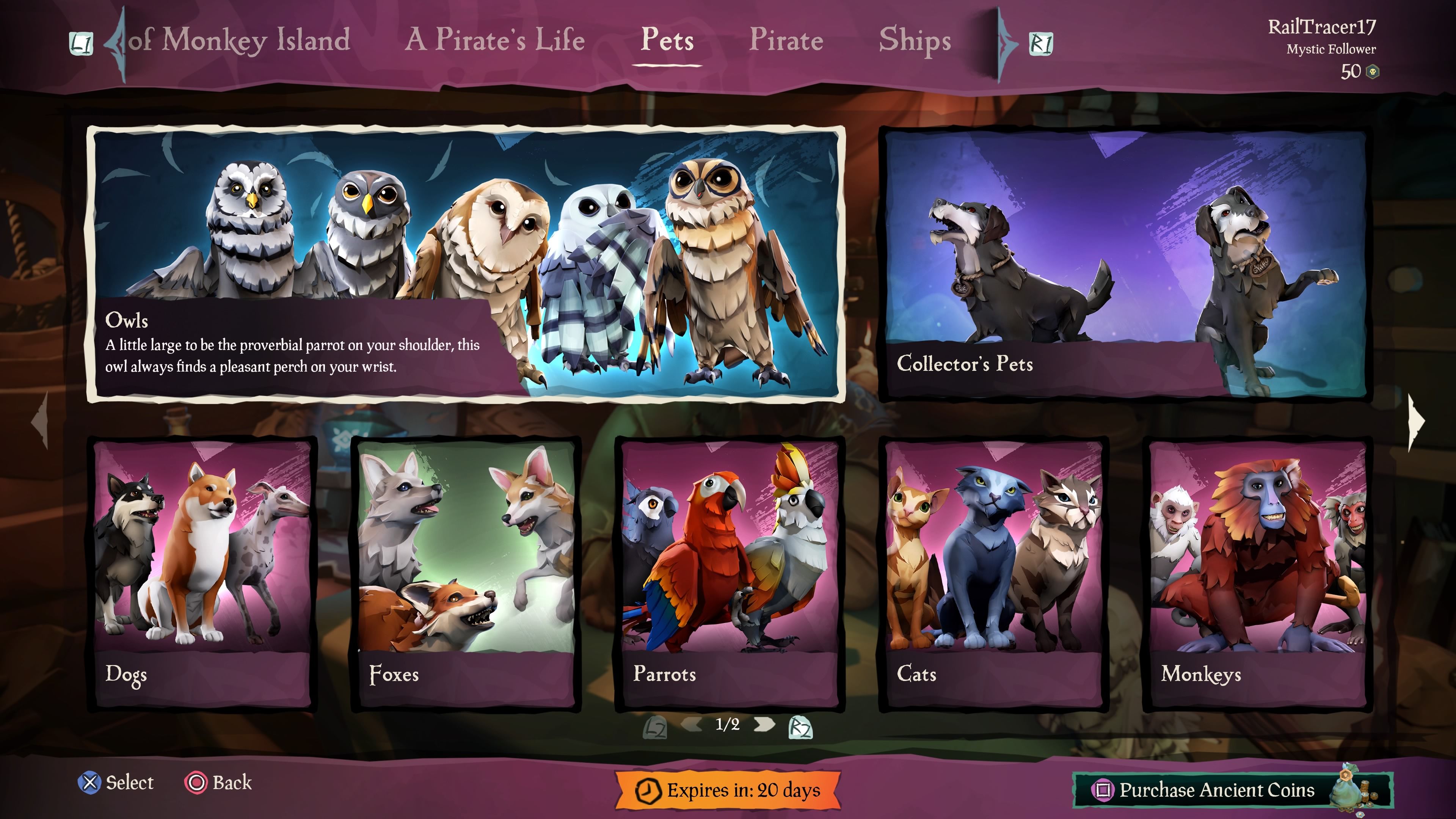 Sea Of Thieves: How To Get Pets & What Do They Do