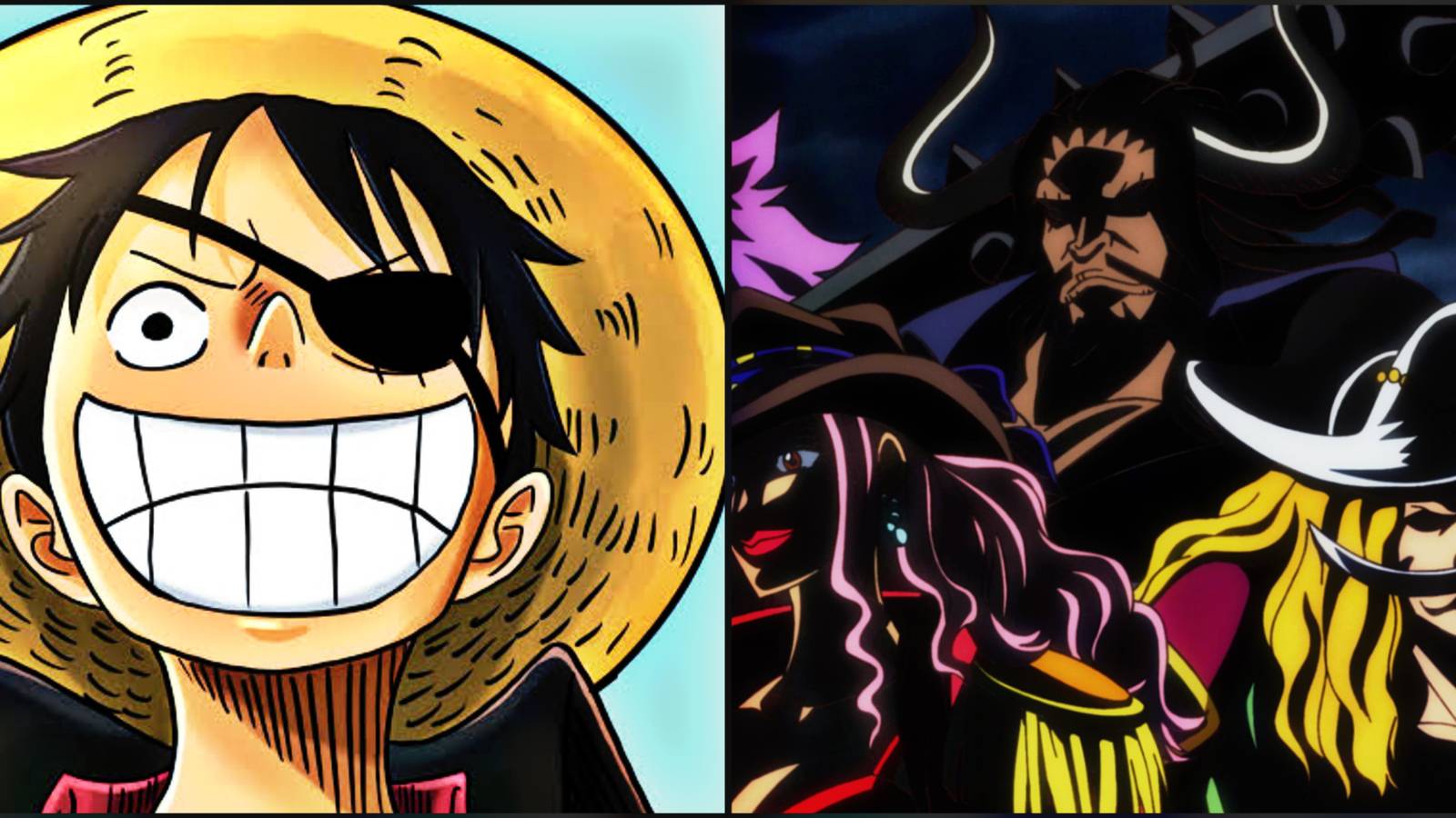 Pirate With Eye patch One Piece