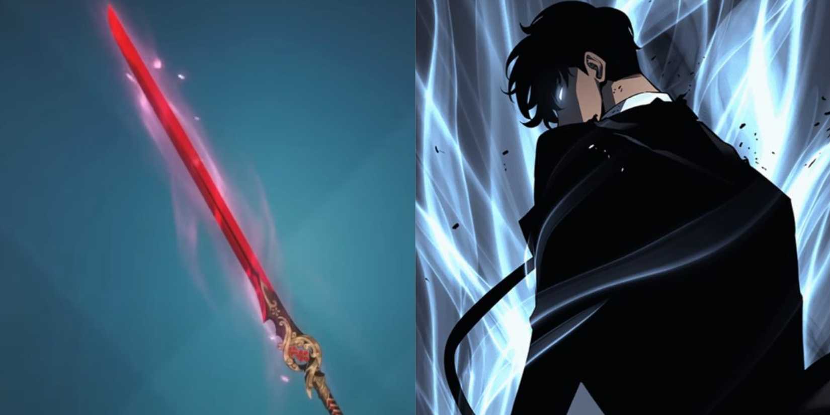 Demonic Plum Flower Sword showcase with jinwoo looking back