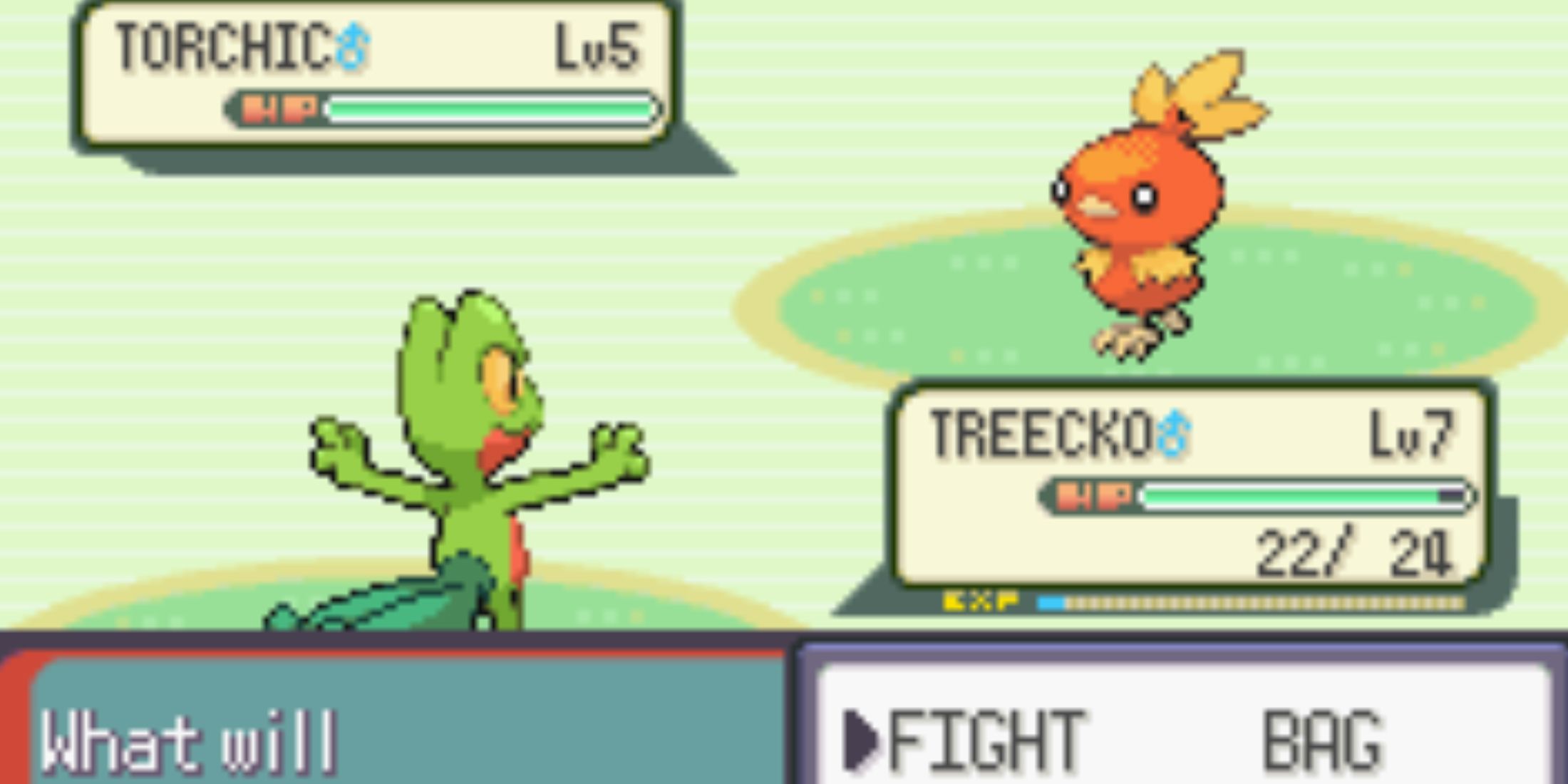 pokemon emerald treecko vs torchic-1