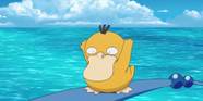 Water Pokemon Water Pokemon
