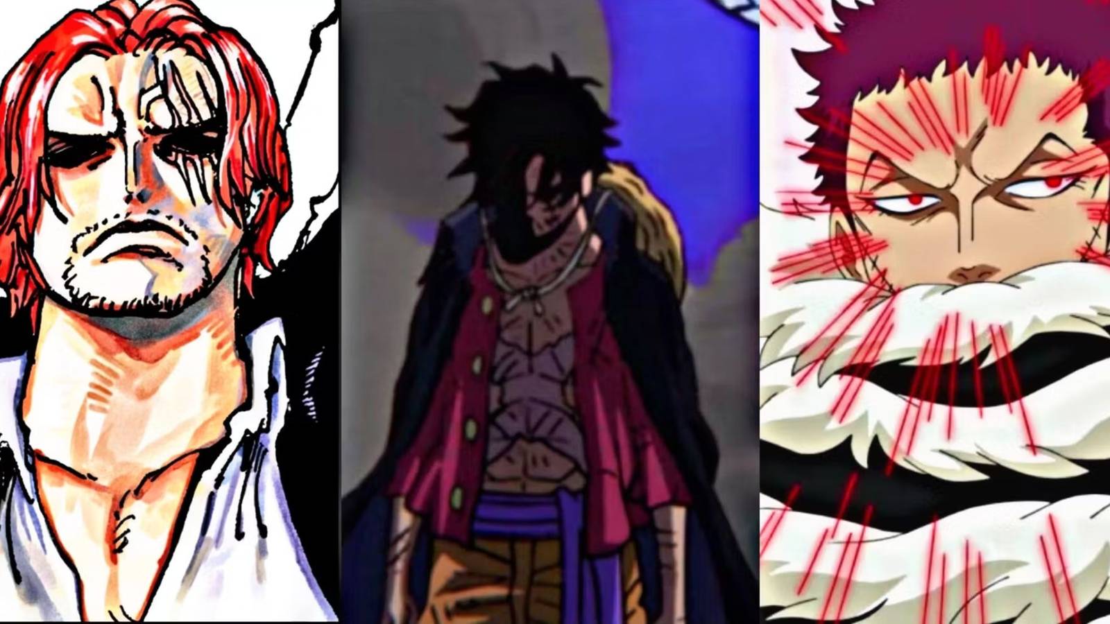 rarest types of haki one piece-1