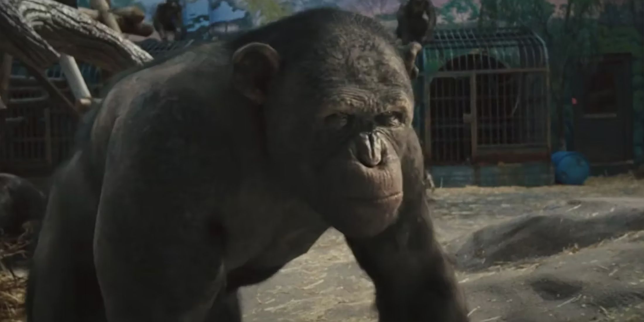 Rocket In Rise Of The Planet Of The Apes