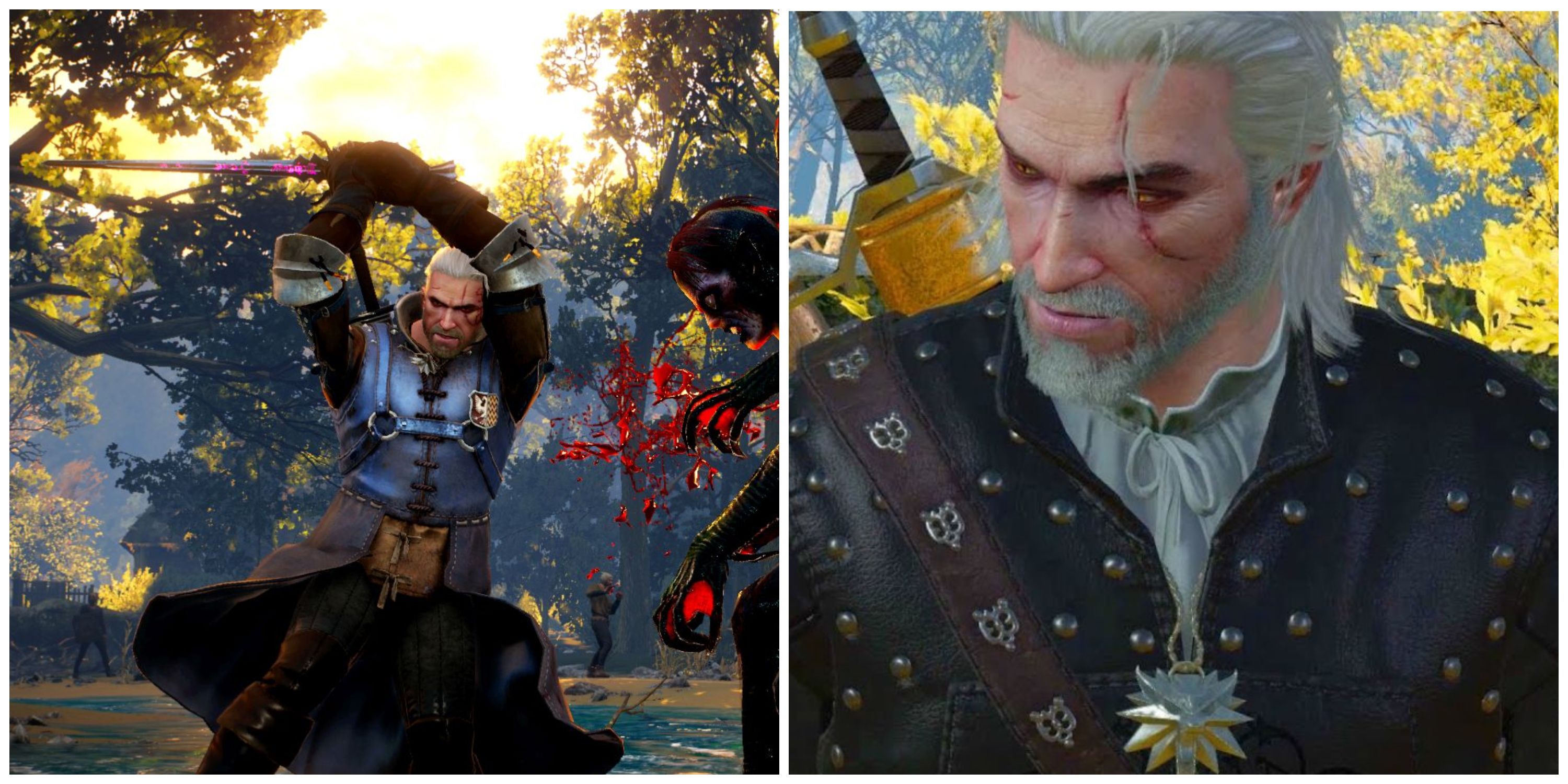 Secret Side Quests Everyone Missed In The Witcher 3 featured