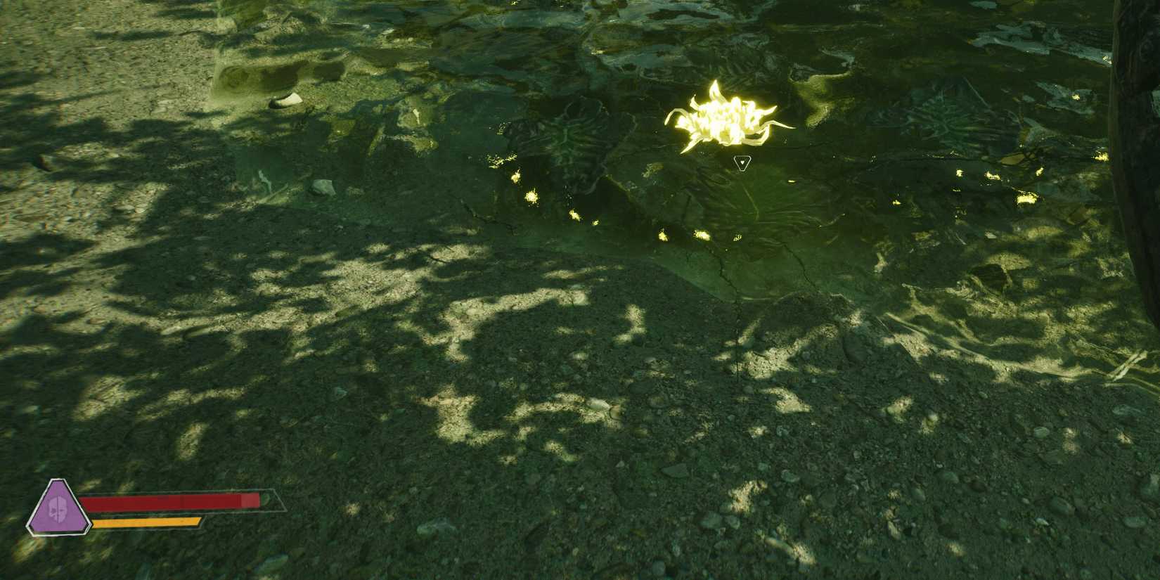 Serum Creeping Passiflora