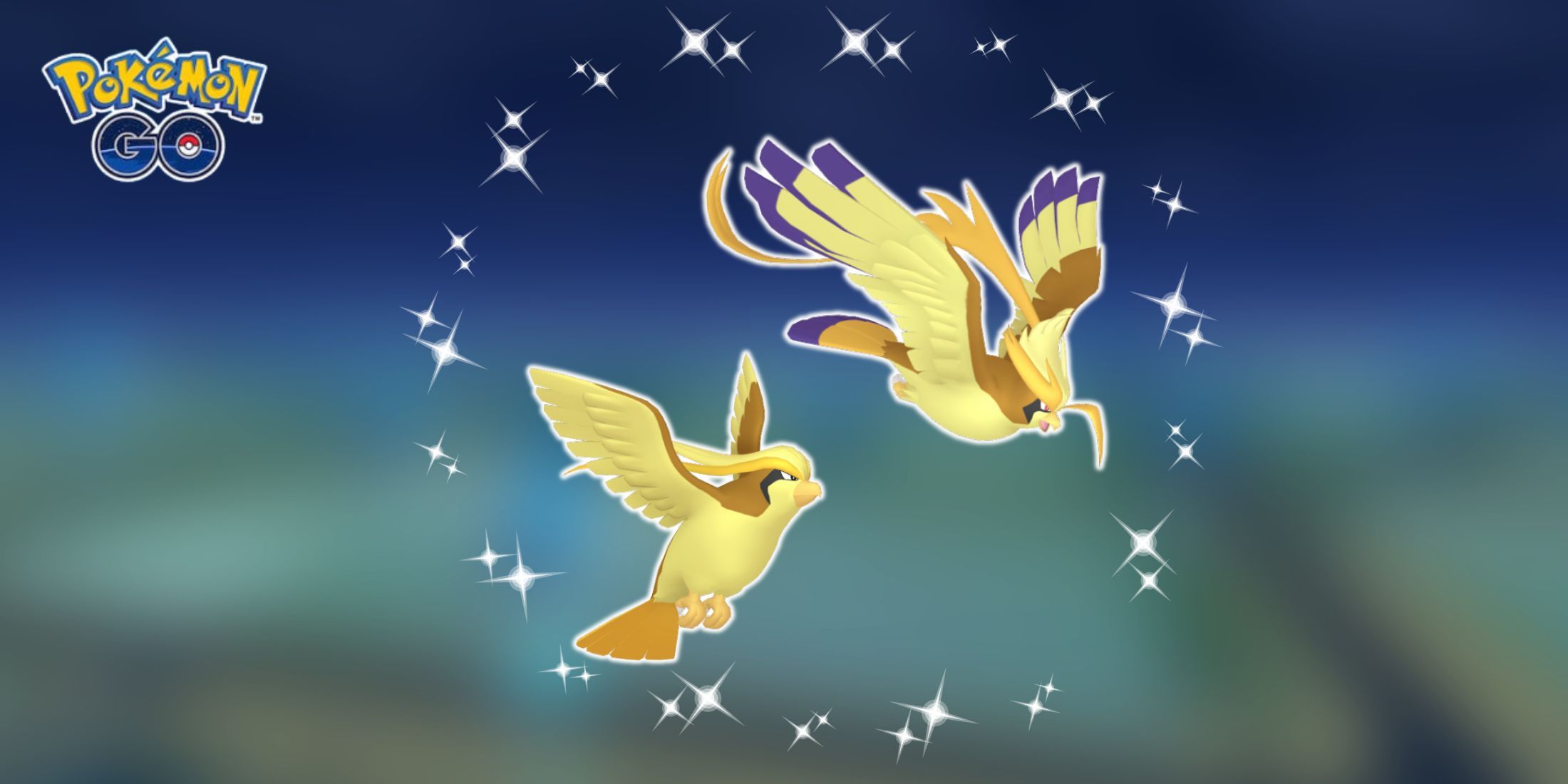 Pokemon GO: How To Get Shiny Mega Pidgeot