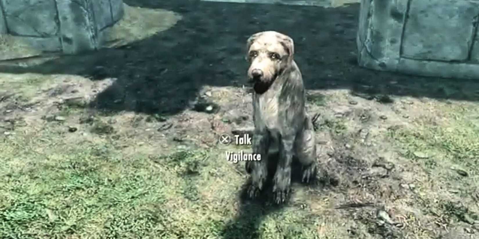 Skyrim Vigilance Dog (3)