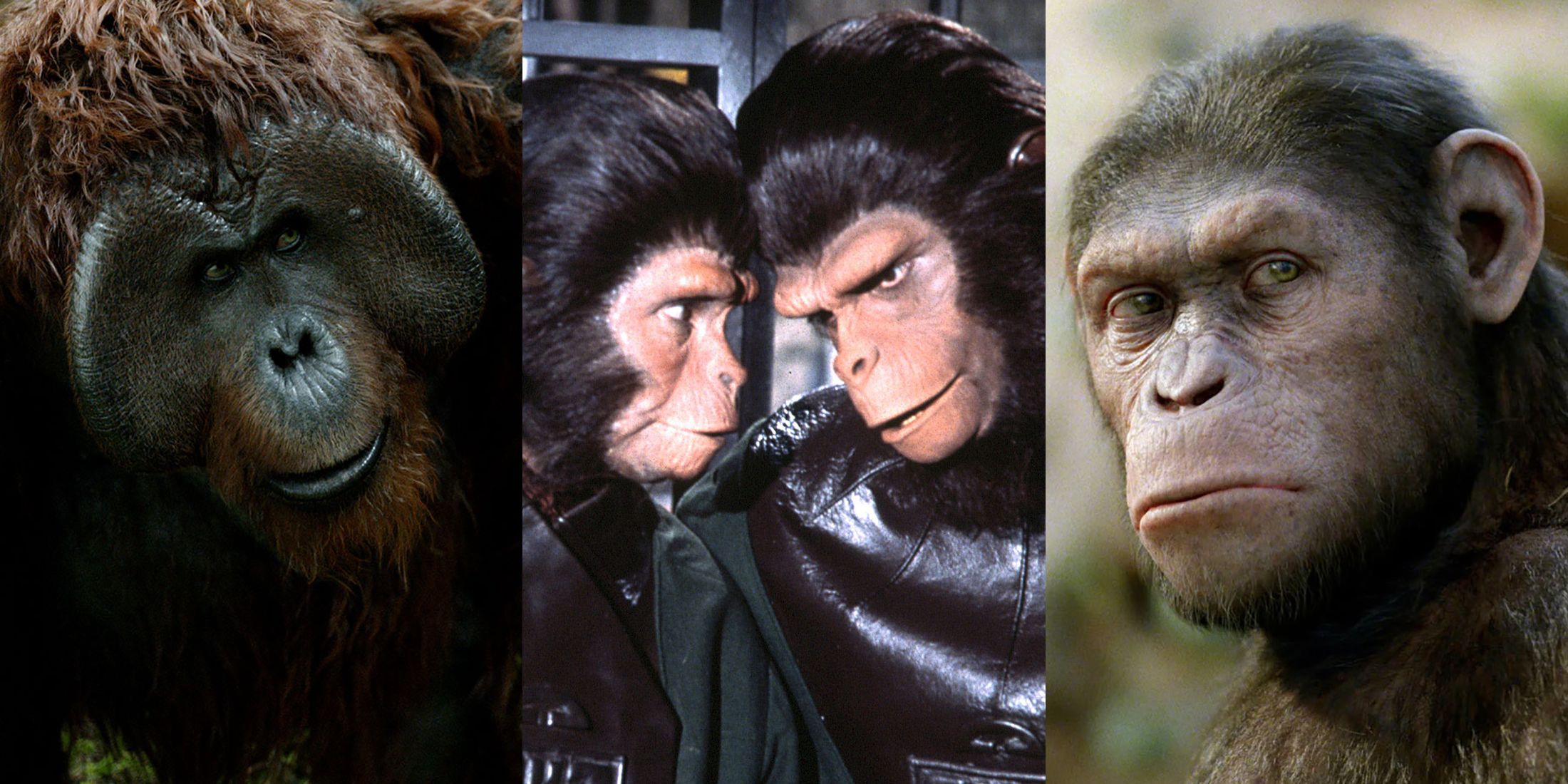 Smartest Apes In Planet Of The Apes