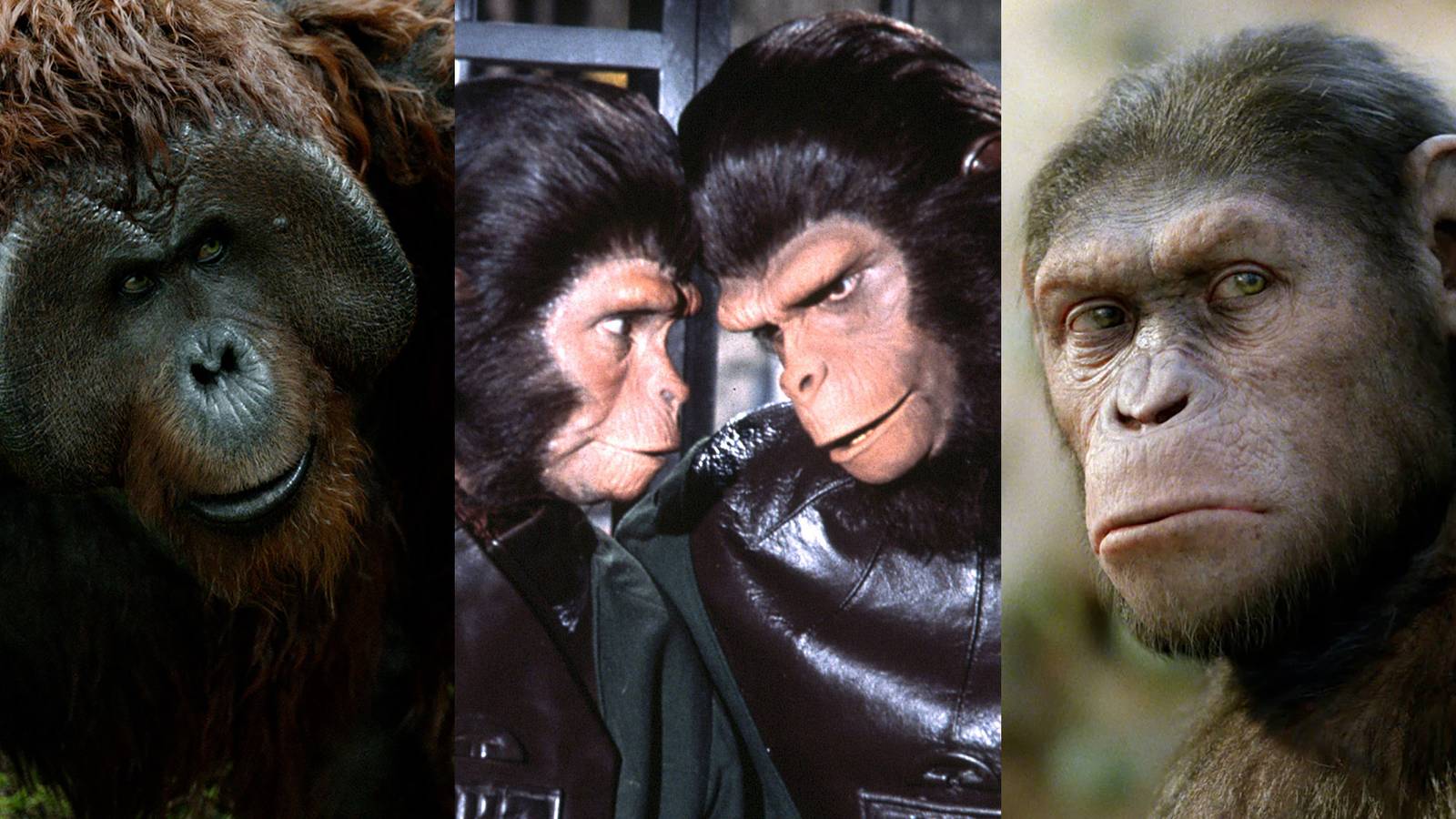 Smartest Apes In Planet Of The Apes