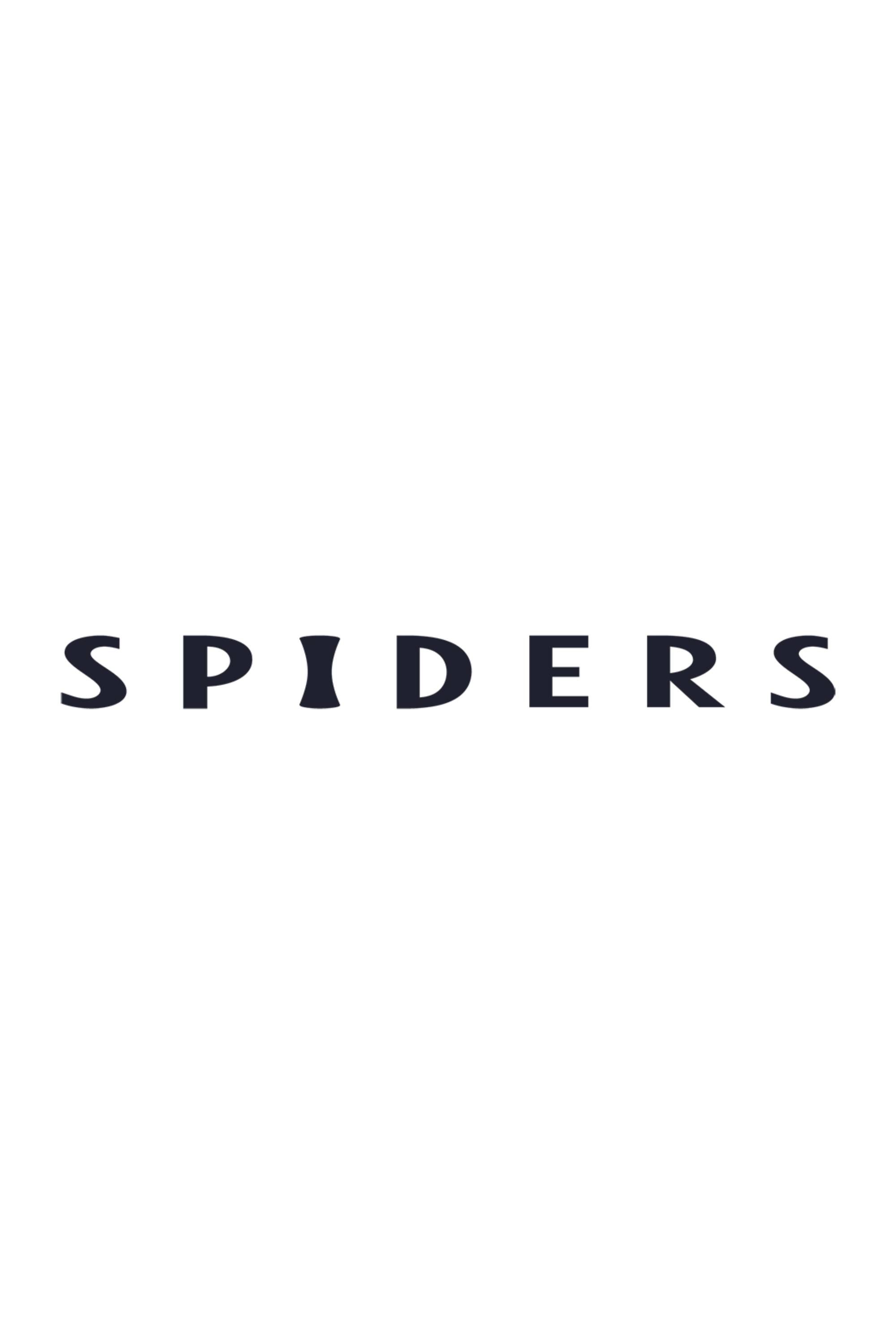 Spiders