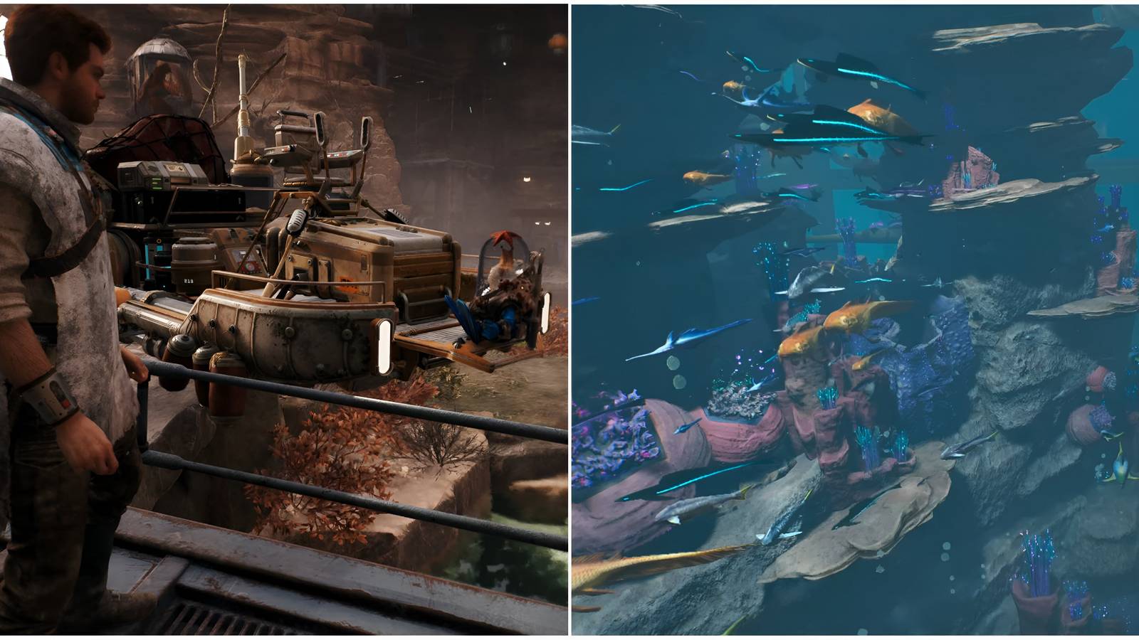 star wars jedi survivor all fishes and how to get them