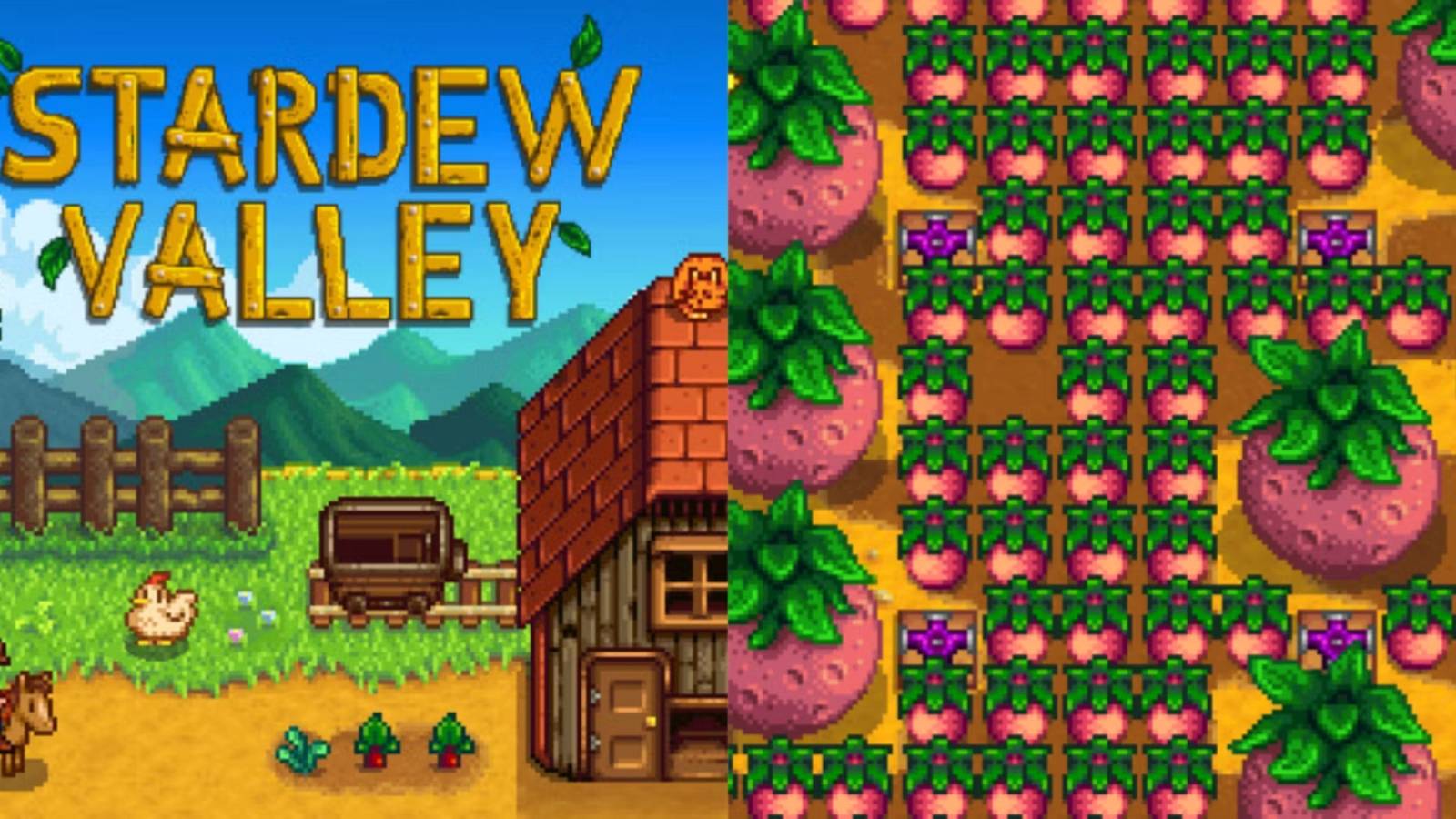 stardew valley title and melons in game