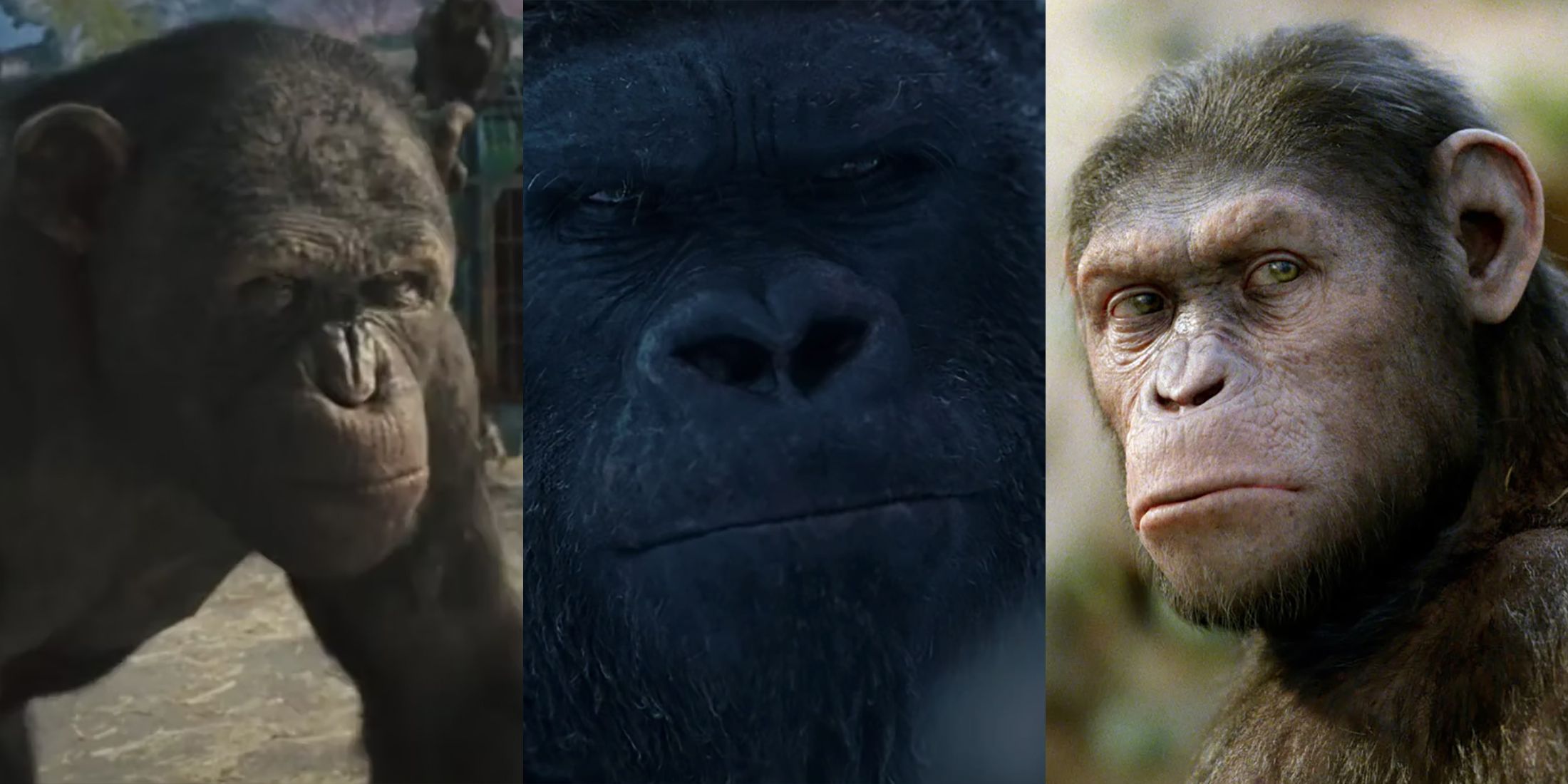 Strongest Apes In Planet Of The Apes