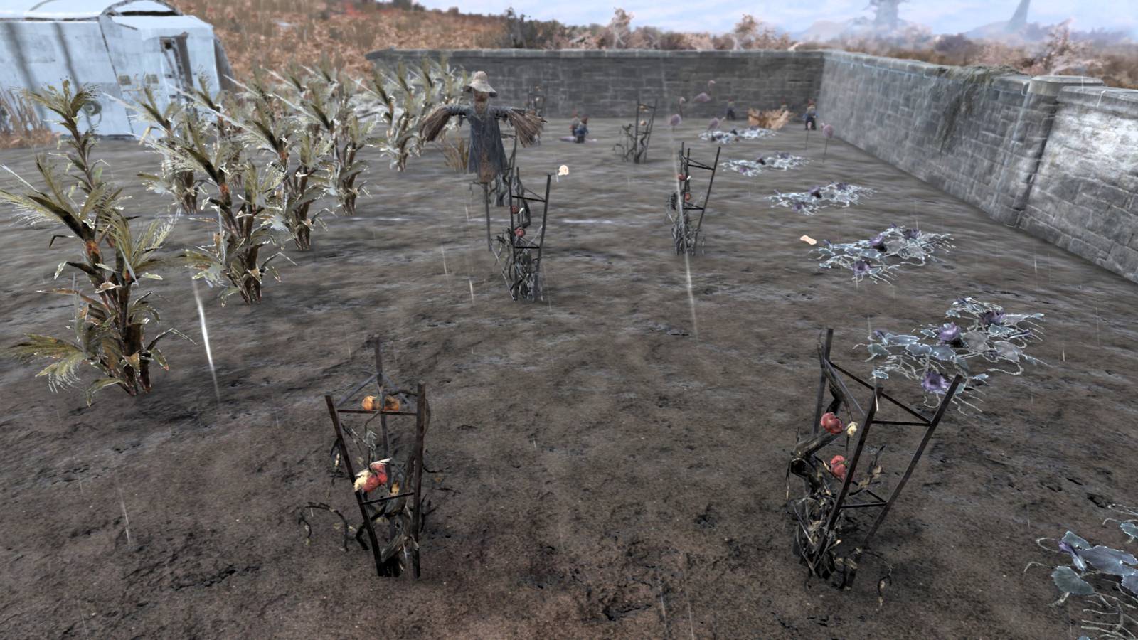 Harvesting Tato plants from the garden at the General's Steakhouse in Fallout 76.