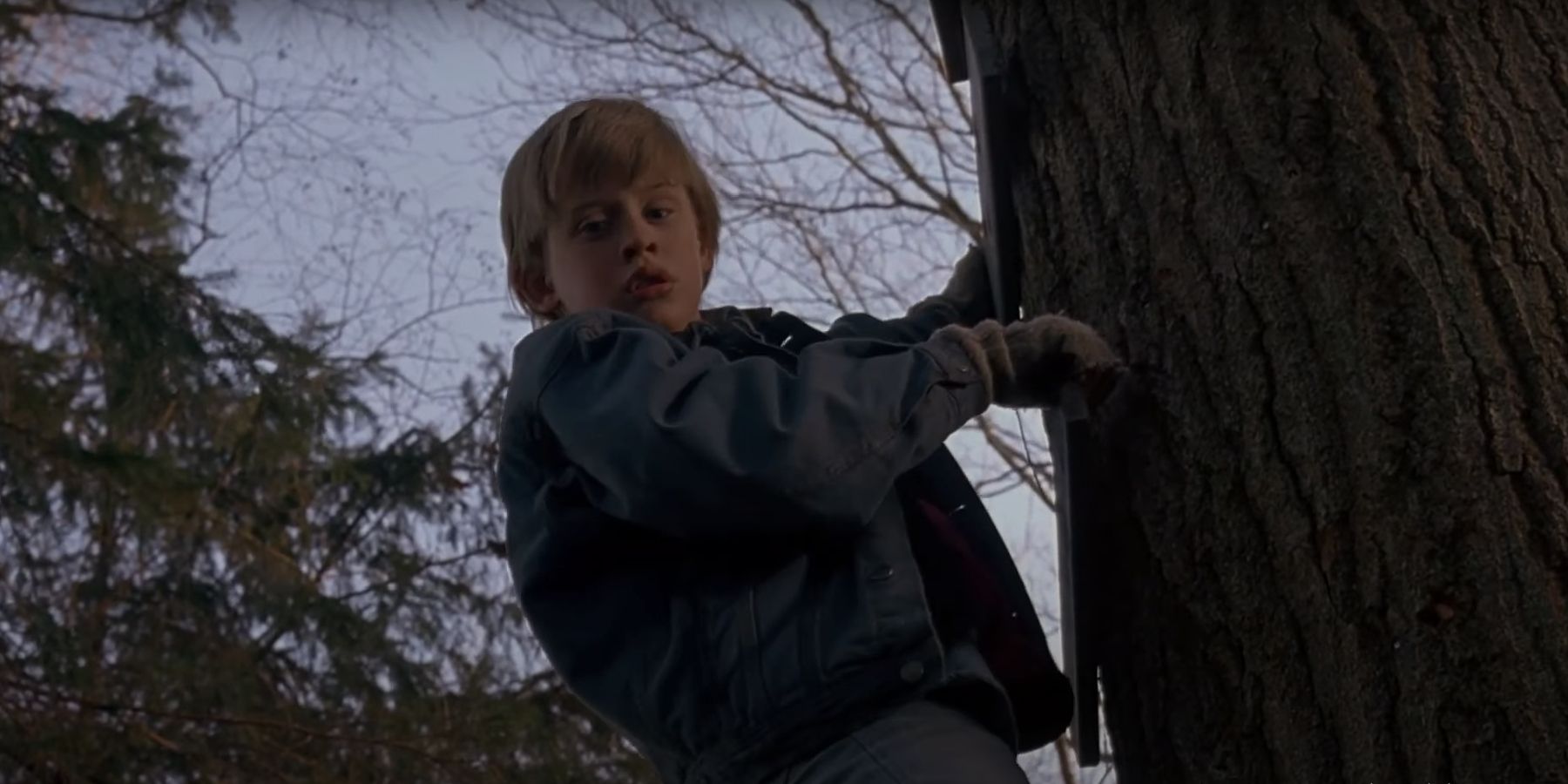 The Good Son young boy climbing up tree, looking down with a look of mild concern