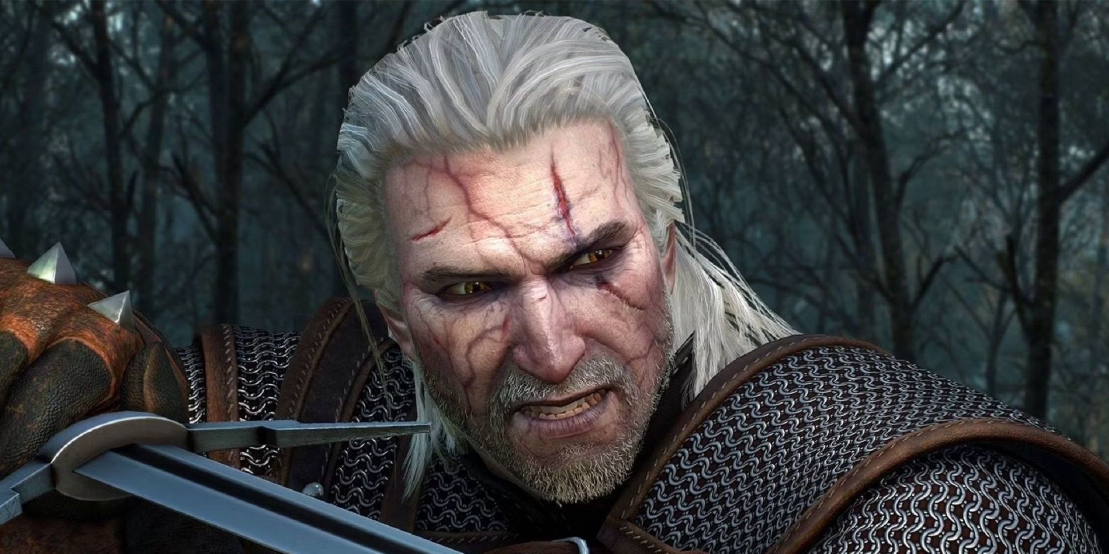 Image of Geralt pointing a sword in The Witcher