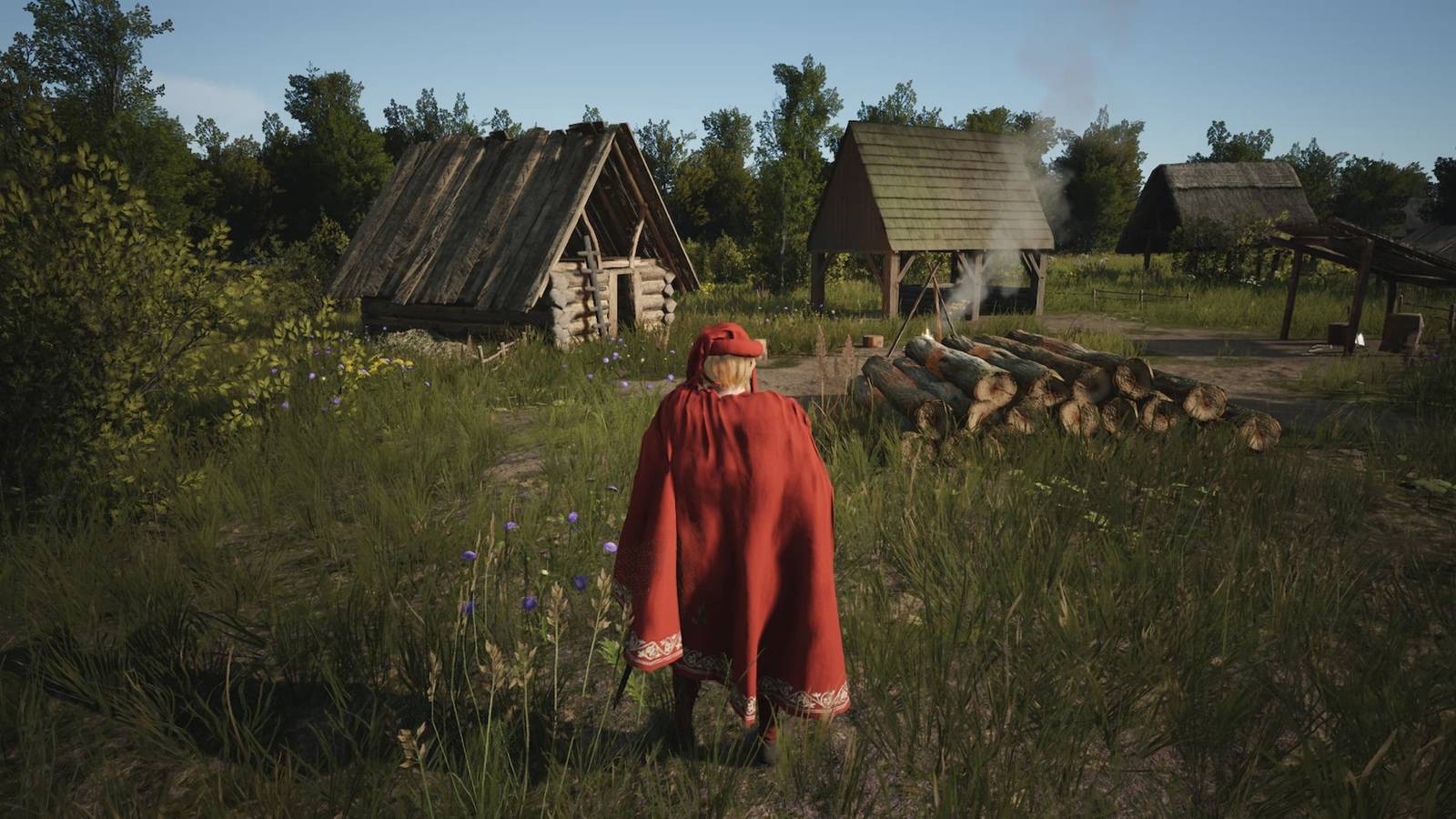 timbers in logging camp