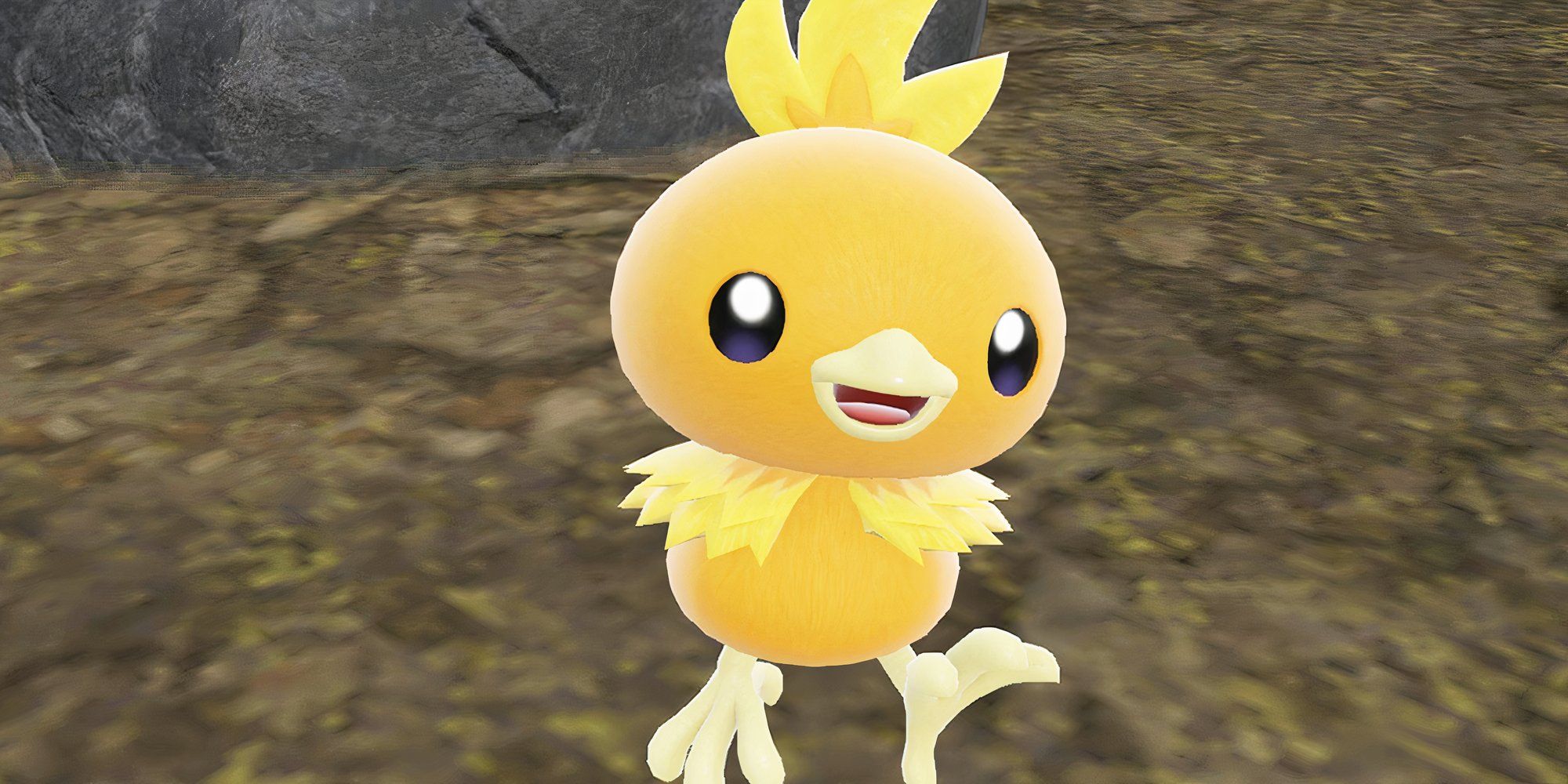 Torchic In Pokemon Scarlet & Violet