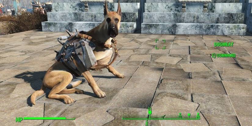 TransDOGrifier in Fallout 4