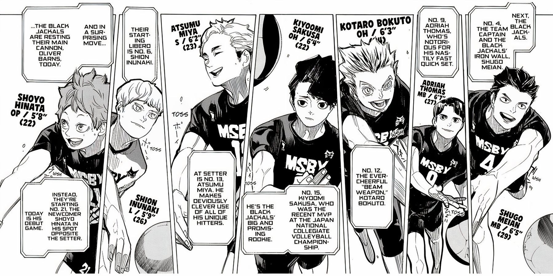 Haikyuu: The Manga Ending, Explained