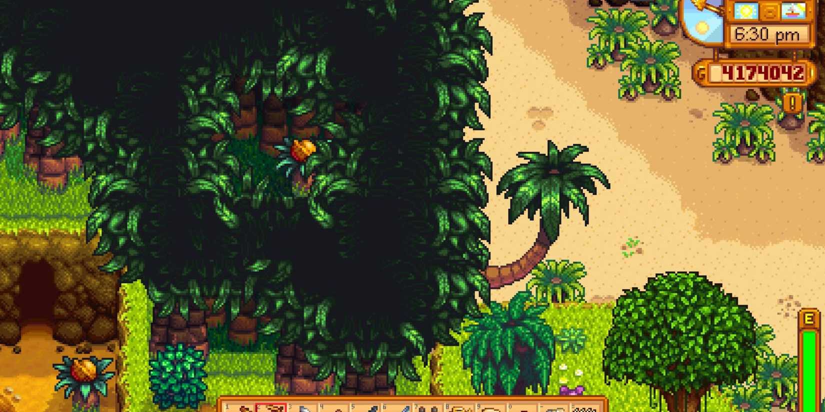 Two Hidden Paths Near The Golden Joja Parrot