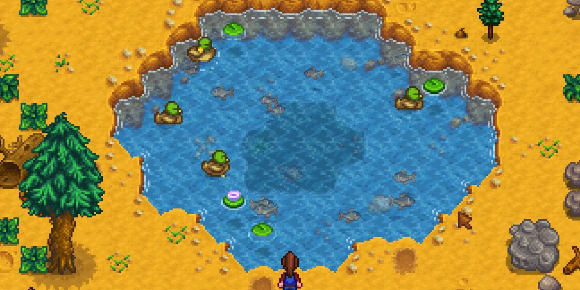 Ducks in a pond in Stardew Valley