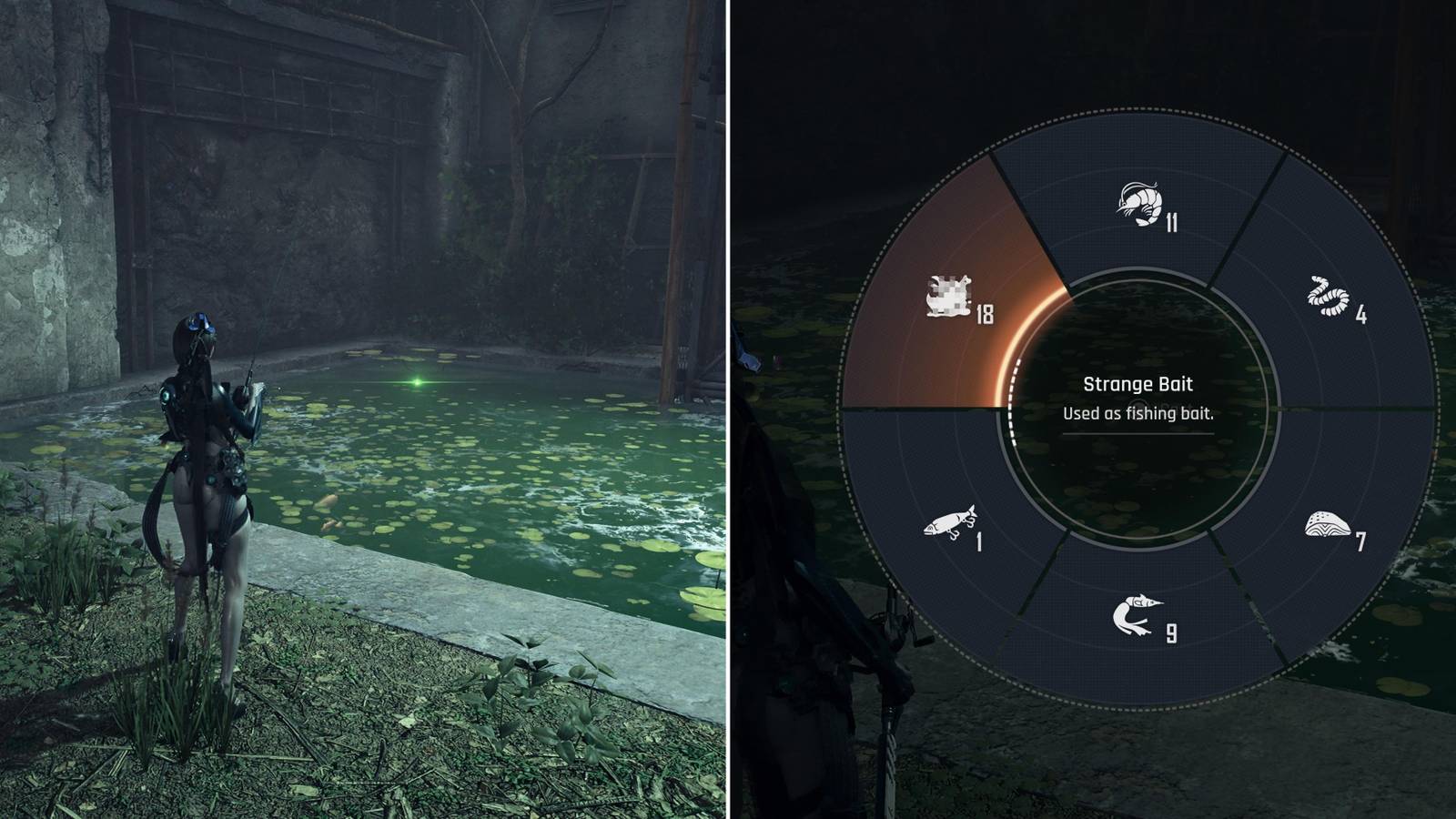 Eve Fishing & Selecting Strange Bait 