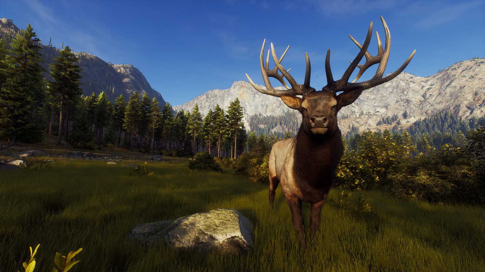 Way Of The Hunter Wild Expeditions Xbox Series X Játékszoftver Way Of The Hunter Wild Expeditions Xbox Series X Játékszoftver