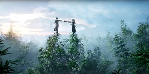 the bamboo forest fight scene in where winds meet trailer.