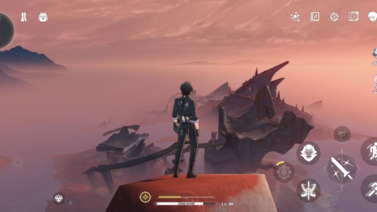 a viewpoint in wuthering waves.