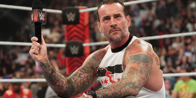 wwe cm punk