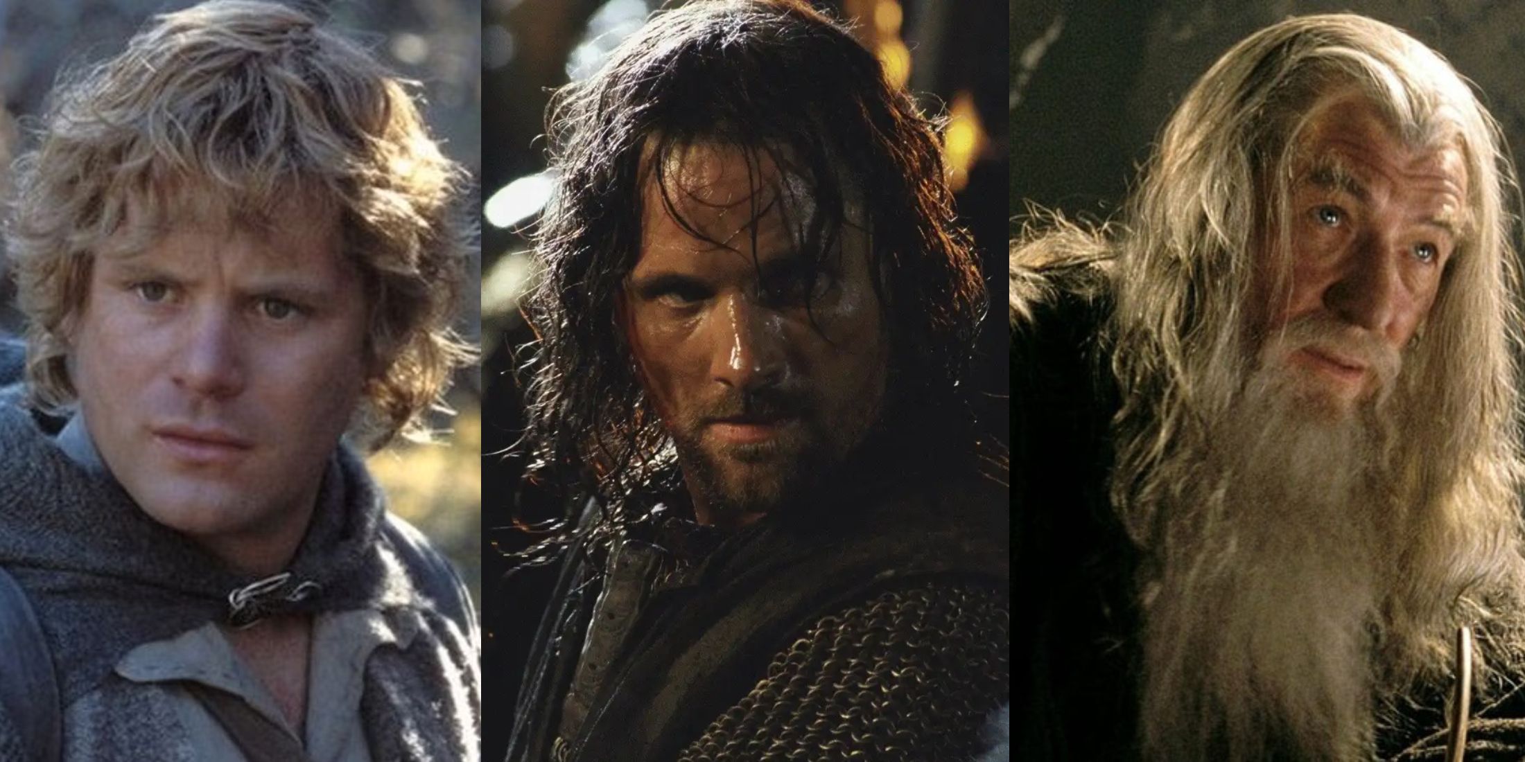 X Most Selfless Characters In Lord Of The Rings split image Sam, Aragorn and Gandalf