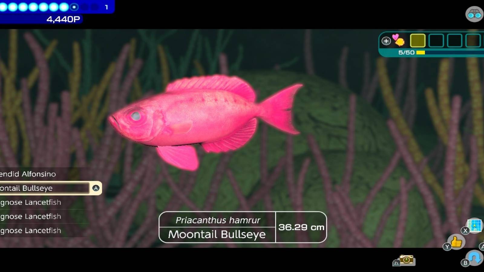 Zoomed into Focus Mode Endless Ocean Luminous