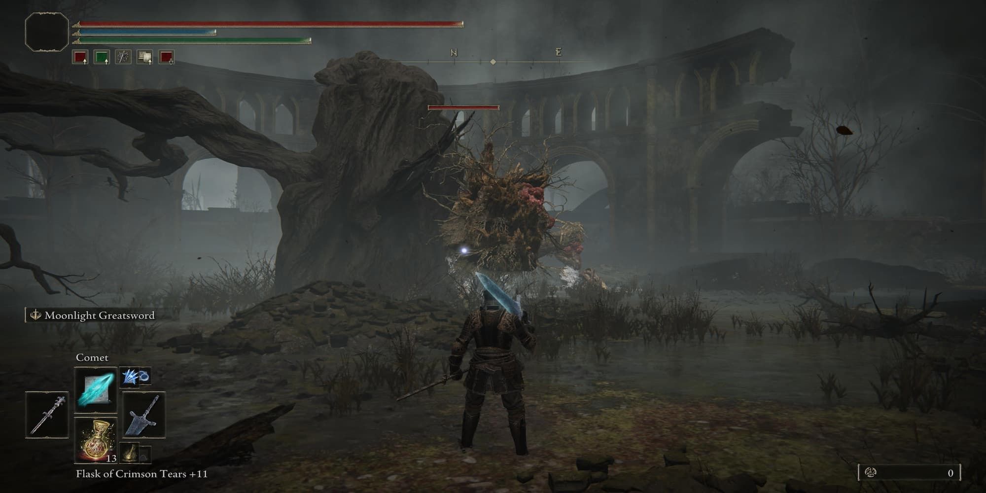 The Player Facing The Lesser Ulcerated Tree Spirit 