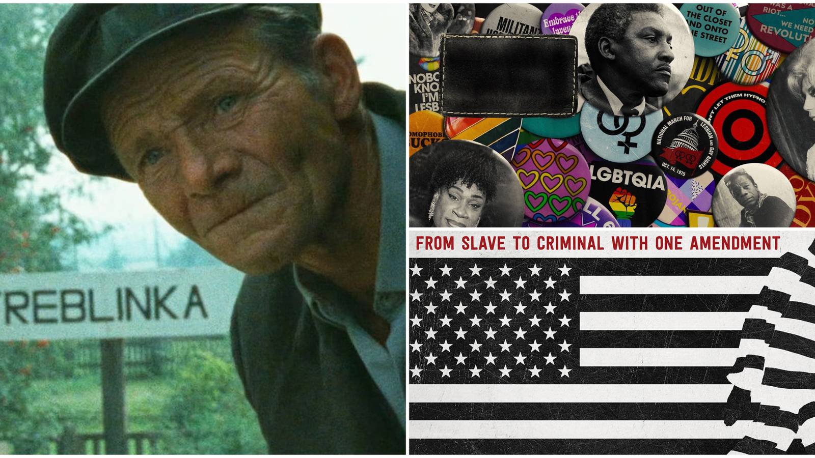 Modern History Documentaries- Shoah Pride 13th