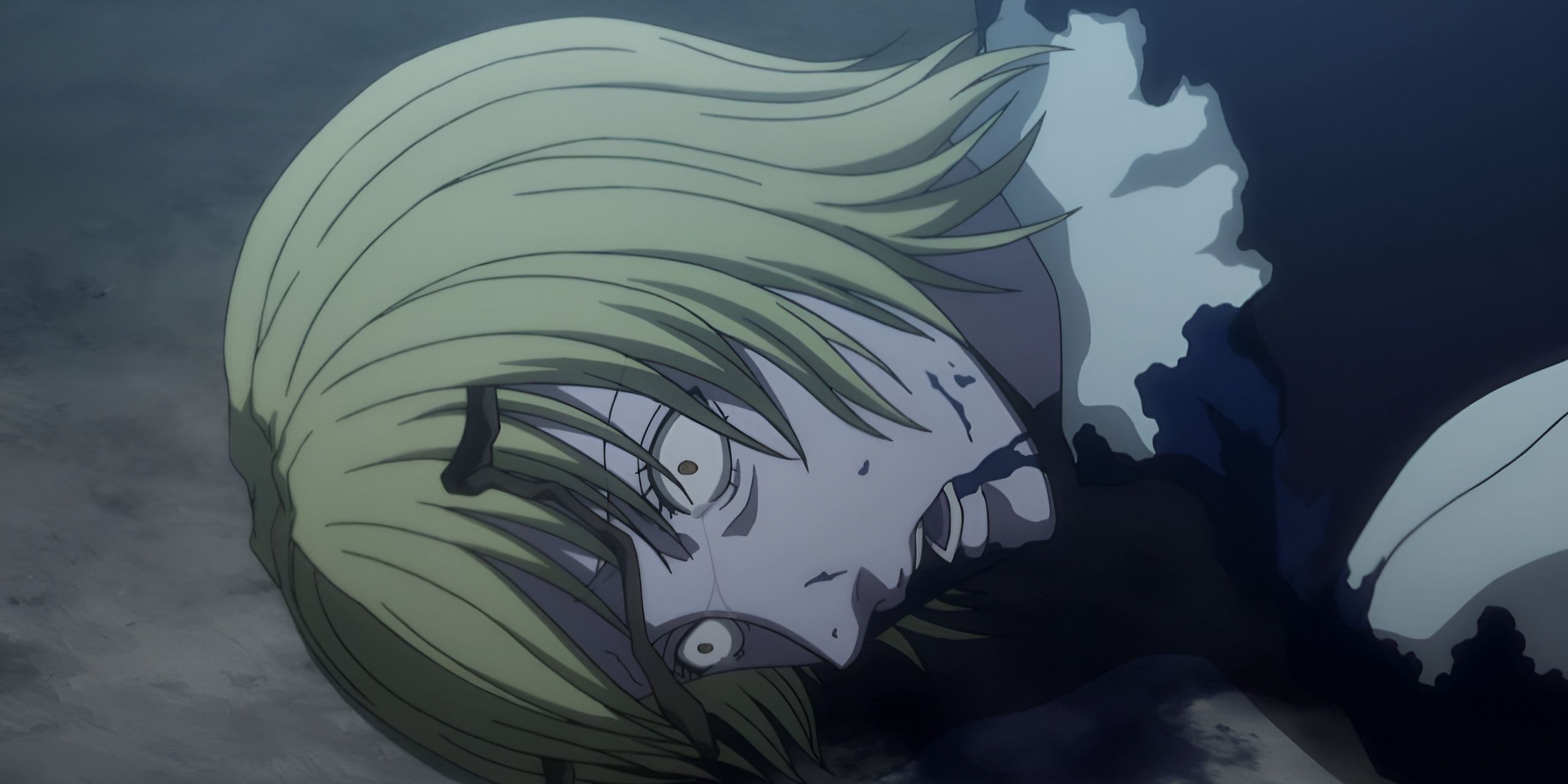 Hunter X Hunter: The Poor Man's Rose, Explained