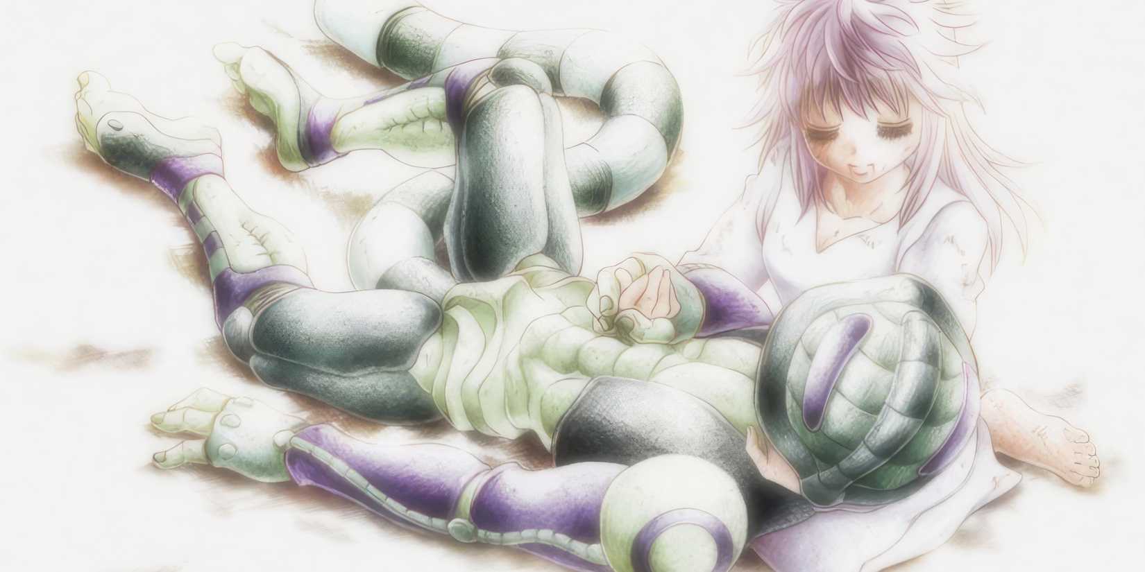 Merurm Hunter x Hunter: The Chimera Ant Arc, Explained