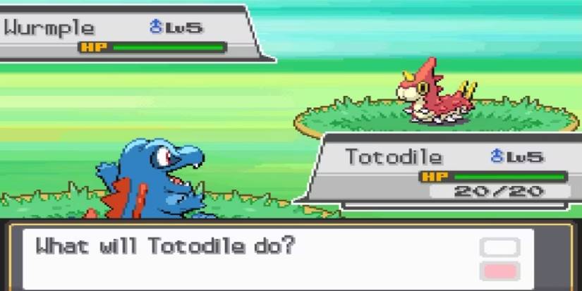 A battle in Pokemon Sacred Gold