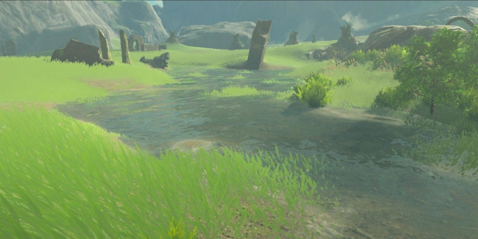 Ash Swamp in The Legend of Zelda Breath of the Wild