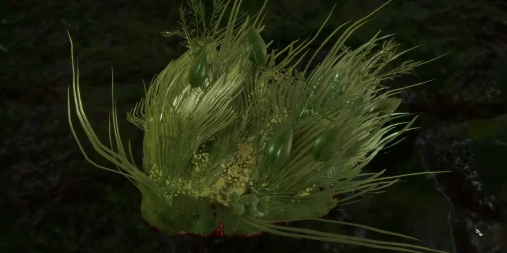 Baldur's Gate 3 Auntie Ethel's Hair on the floor