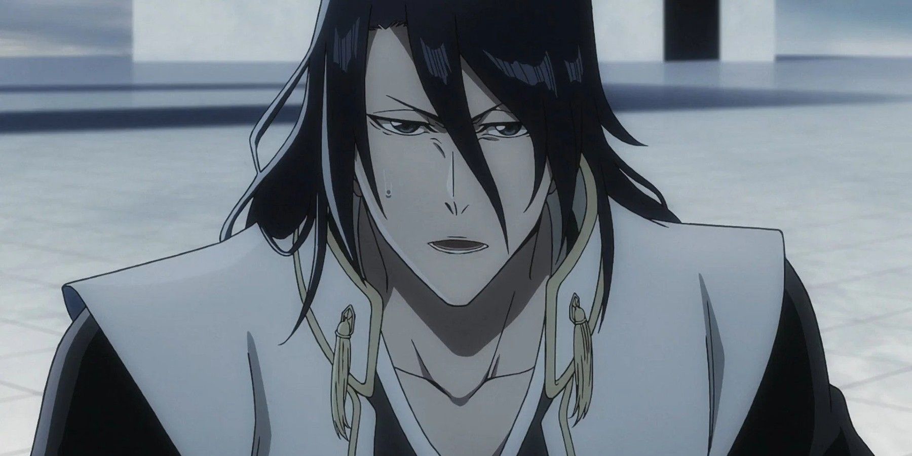 Bleach- How Much Has Byakuya Changed Since Season 1?